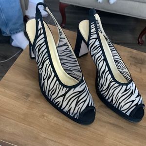 Ann Marino sling back zebra shoe